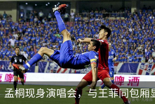 孟桐现身演唱会，与王菲同包厢显低调风范